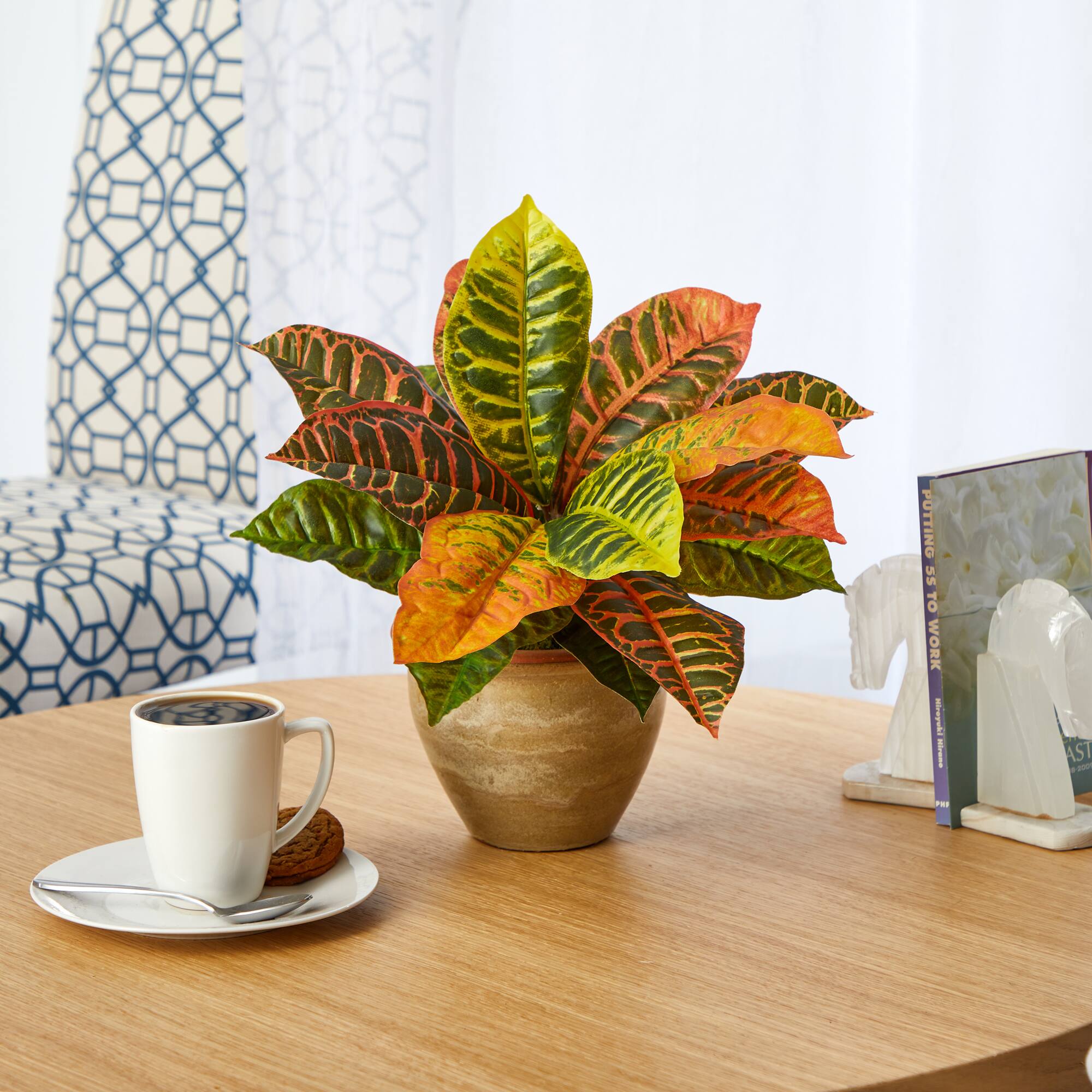 15" Garden Croton Plant in Ceramic Planter